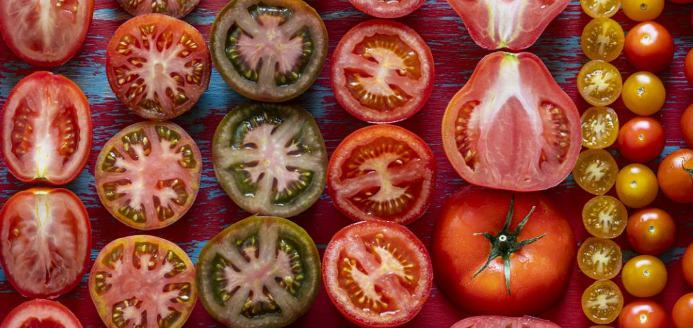 Cultivar Tomates Perfeitos