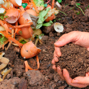 Compostagem e Adubação Verde