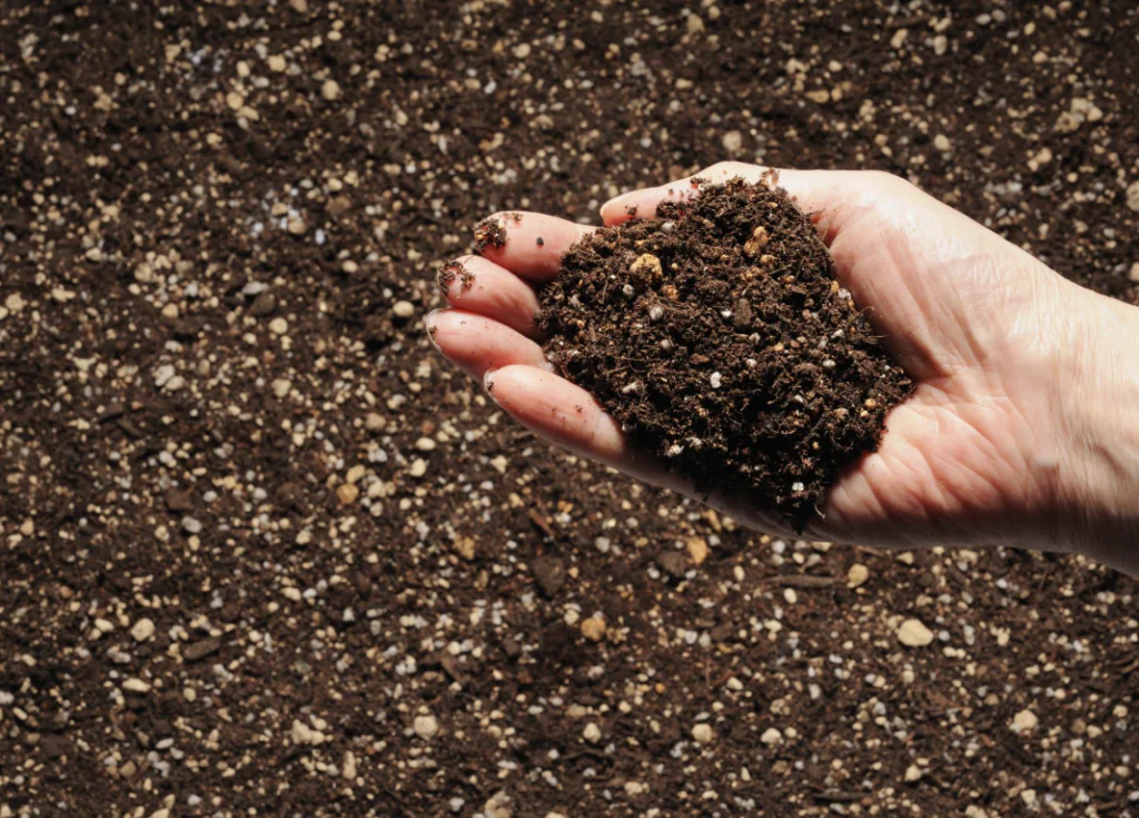 Compostagem 